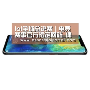 华为无线快充手机