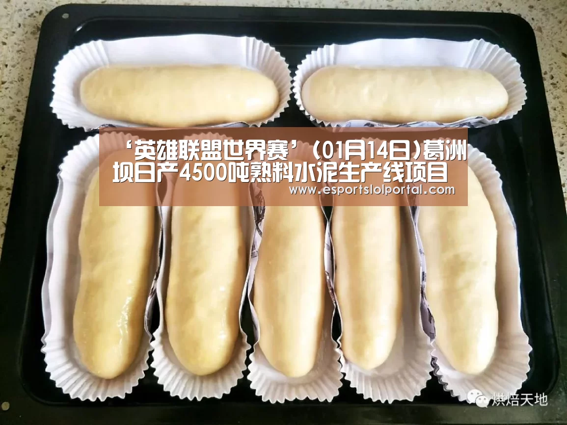 ‘英雄联盟世界赛’(01月14日)葛洲坝日产4500吨熟料水泥生产线项目主体厂房动工建设(图3) 全球总决赛官网