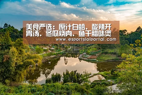 世界赛官网